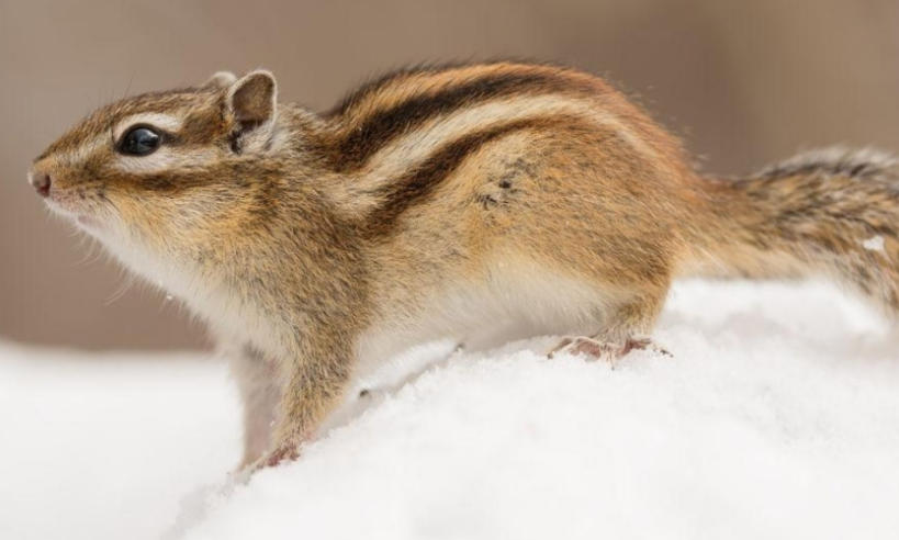 唐山 IT 社物流有限公司轮播图3